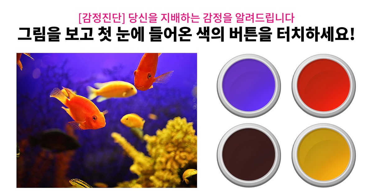 [감정진단] 당신을 지배하는 감정을 알려드립니다